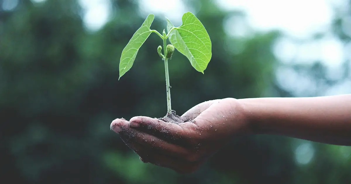 How Technical SEO Optimization of a Website Is Performed: A Step-by-Step Overview